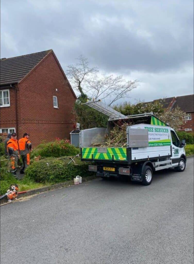 JM Tree Surgeons - Chelmsford