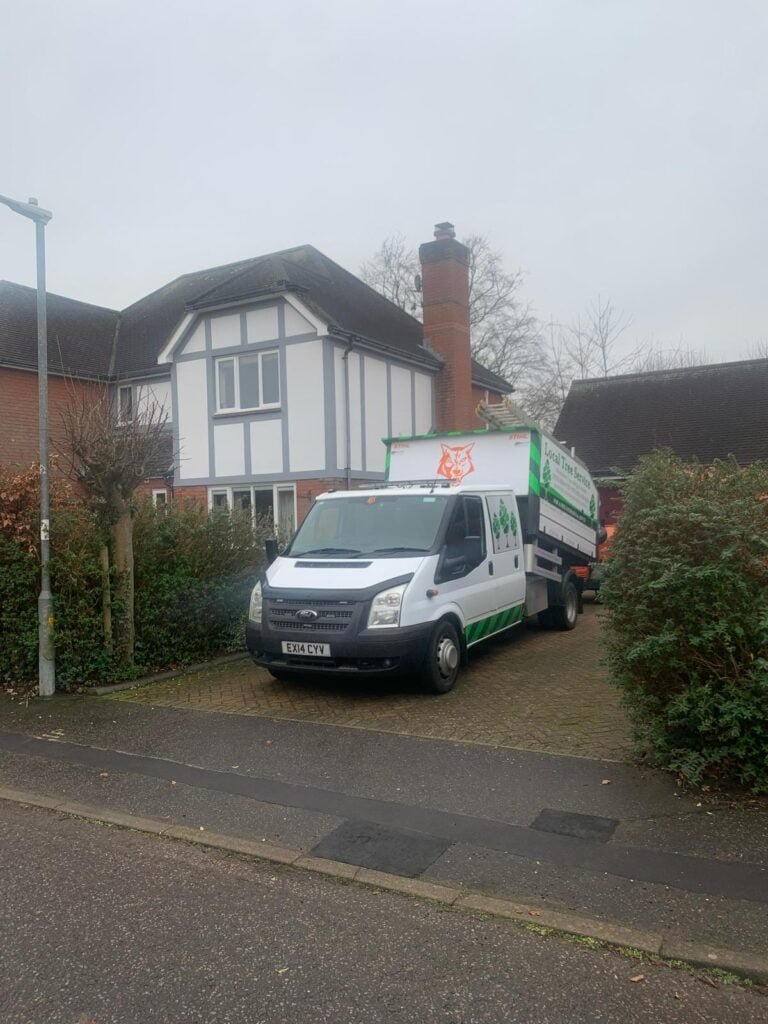 JM Tree Surgeons - Chelmsford